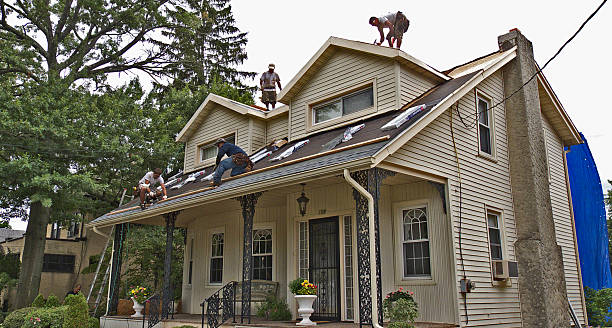 Quick and Trustworthy Emergency Roof Repair Services in Port Byron, IL